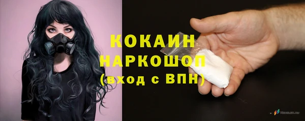 apvp Карпинск