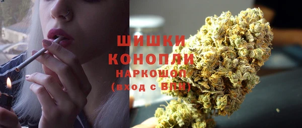 apvp Карпинск