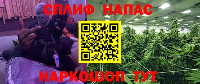 прущие грибы Нальчик