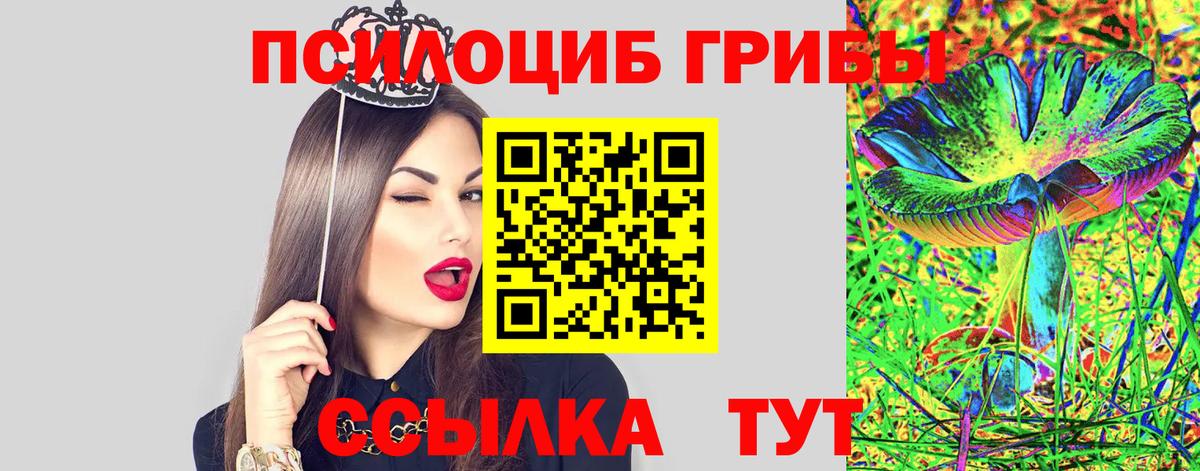 Нарткала  Псилоцибиновые грибы мицелий  Вход с VPN 